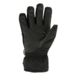Hanske Darby GTX W Scott