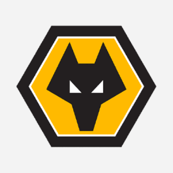 Bilde til produsent WOLVERHAMPTON WANDERERS
