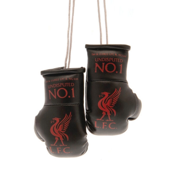 LIVERPOOL FC MINI BOXING GLOVES