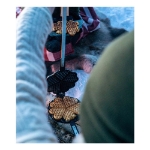 ESPEGARD VAFFELJERN 755