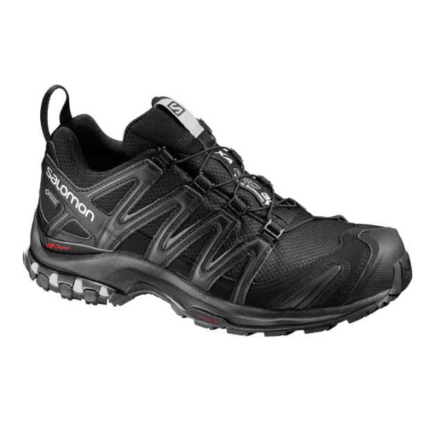 SALOMON XA PRO 3D GTX W